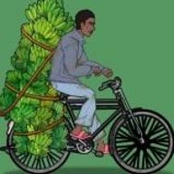 奥德彪逆袭记 v1.0 最新版