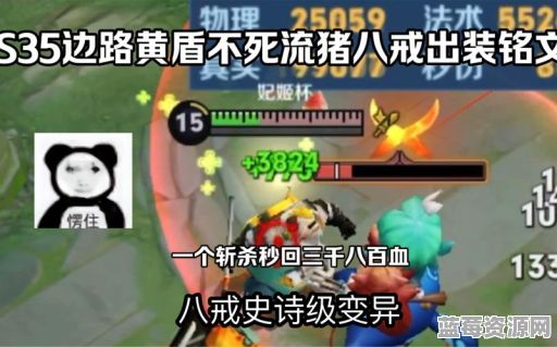 猪八戒残暴出装攻略：如何搭配装备以增强战斗力？