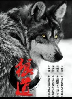 孤狼 v1.2.99 安卓版